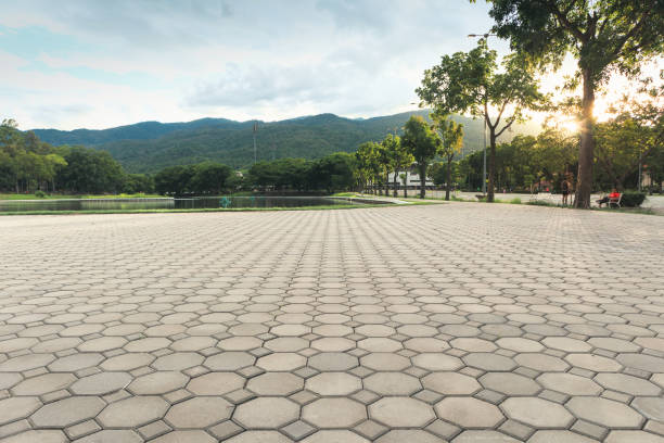 Best Affordable Driveway Pavers  in Nassau Bay, TX